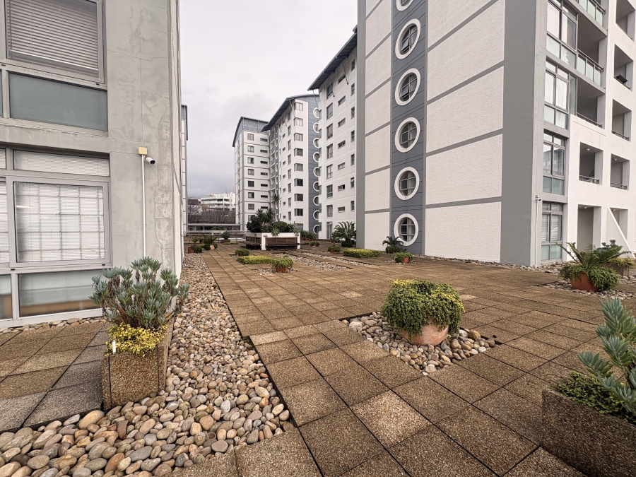 To Let 0 Bedroom Property for Rent in Claremont Upper Western Cape